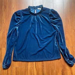 WAYF Erika Puff Sleeve Blue Velvet Top Medium